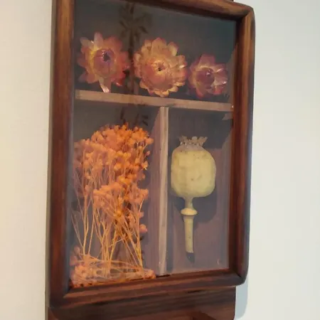 Mirador Del Bajo Aragón Apartamento